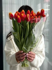 Pachka oranzhevih tyul_panov