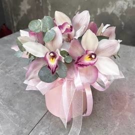 Orhidei v korobke s evkaliptom/ TCimbidium 7 shtuk