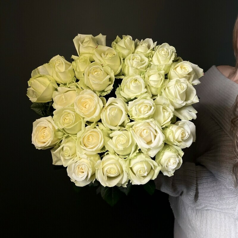 31 ROZA SROCHNAYA DOSTAVKA, premium