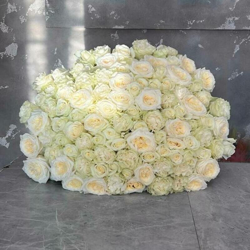 101 belaya roza miks / SHikarnij premium buket, 101 roza