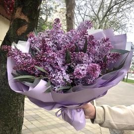 Сирень с эвкалиптом! СЕЗОН СИРЕНИ 