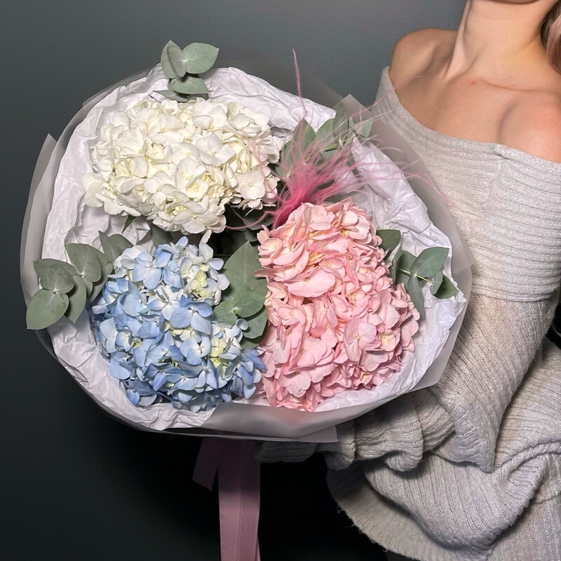 Buket iz svezhih gortenzij 3 shtuki | rozovij goluboj belij, standart