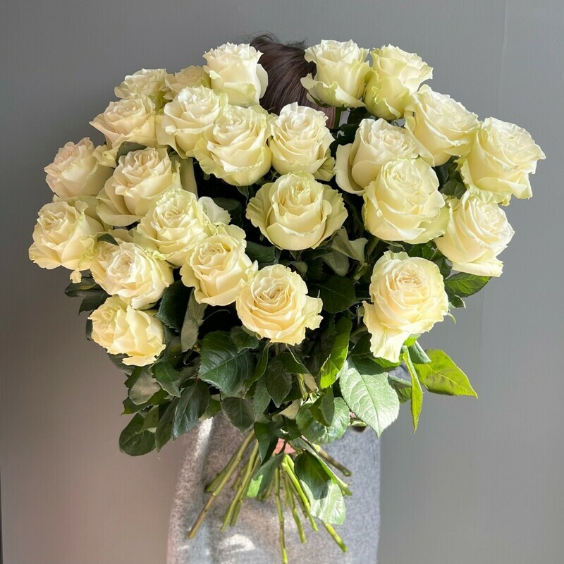 27 roz Mondial_, 27 roz