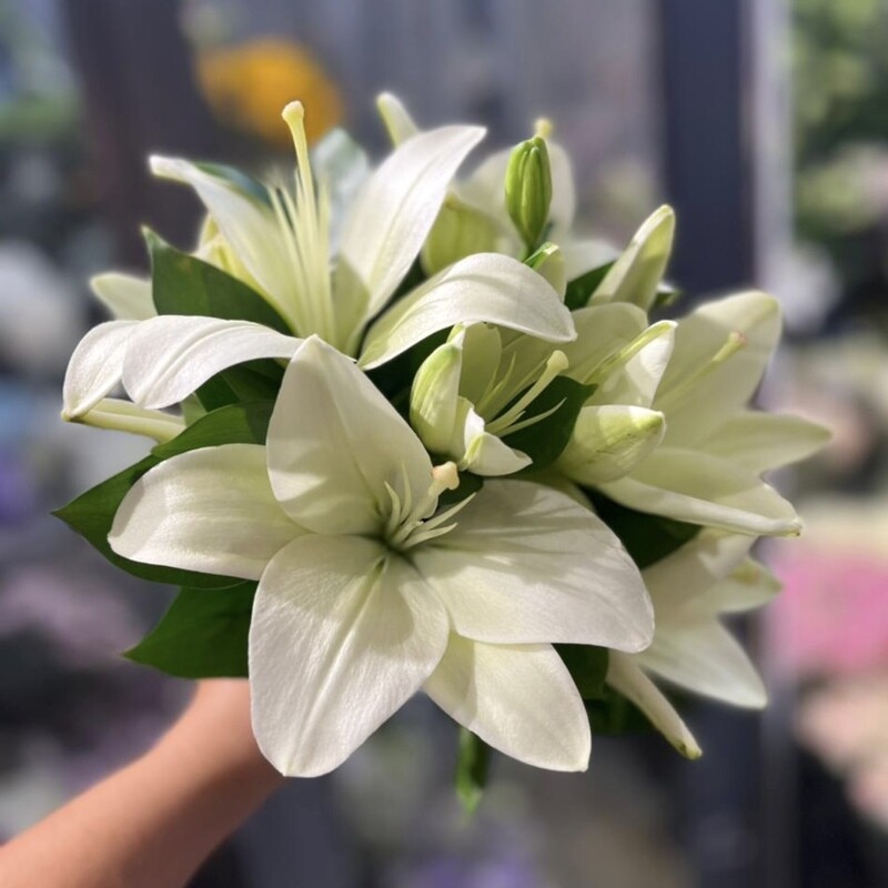 Svadebnij buket nevesti iz lilij, svadebnij buket iz 5 lilij