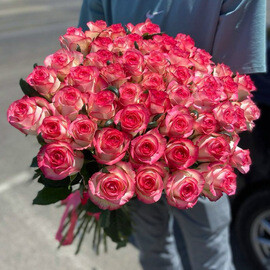 51 rozovaya roza 60-70 sm / Dzhumiliya