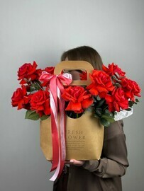 Композиция 100