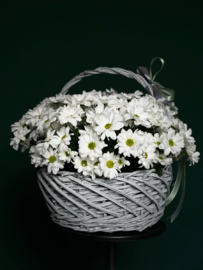 Korzina Hrizantem XL