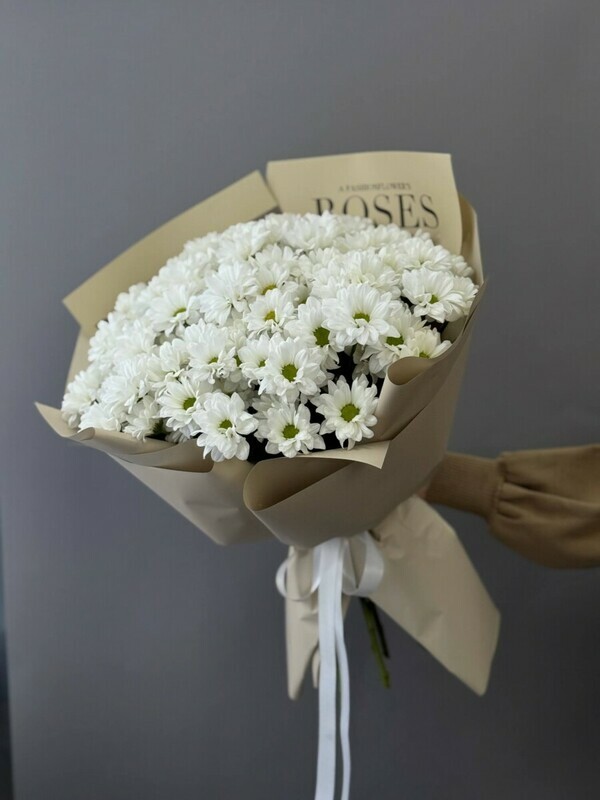 Snezhnaya Garmoniya, premium