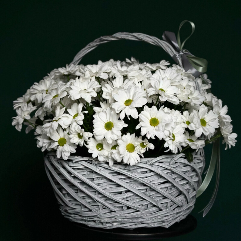 Korzina Hrizantem XL, luxe