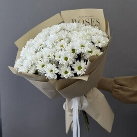 Снежная Гармония 