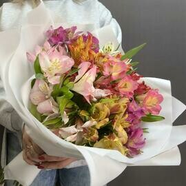 Альстромерия микс 