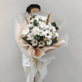 Ромашковое настроение