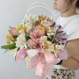 Al_stromeriya miks v sumochke