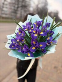 Букет из 15 ирисов