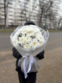 Букет из белых кустовых хризантем в упаковке 