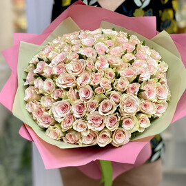 101 нежно-розовая роза