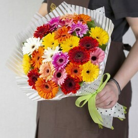 25 разноцветных гербер