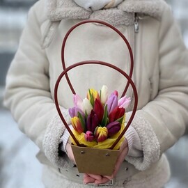 Tyul_pani Miks v sumochke