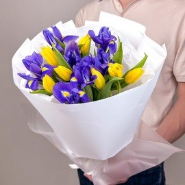 ZHeltie tyul_pani v irisah