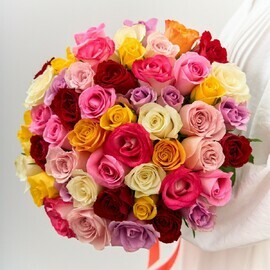 51 разноцветная кенийская роза