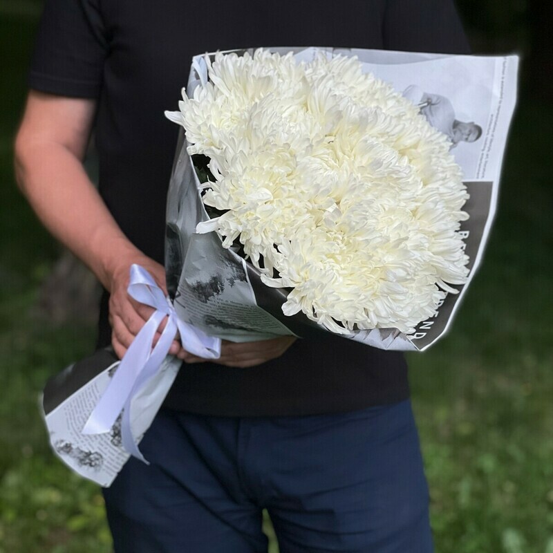 15 Хризантем-Пломбир, 15 хризантем-пломбир