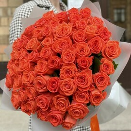 51 оранжевая роза в упаковке