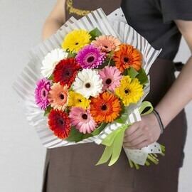 15 разноцветных гербер