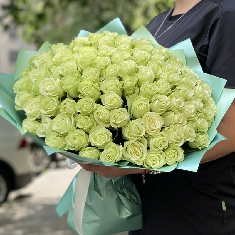 101 Belaya  roza v upakovke, 101 belaya  roza v upakovke