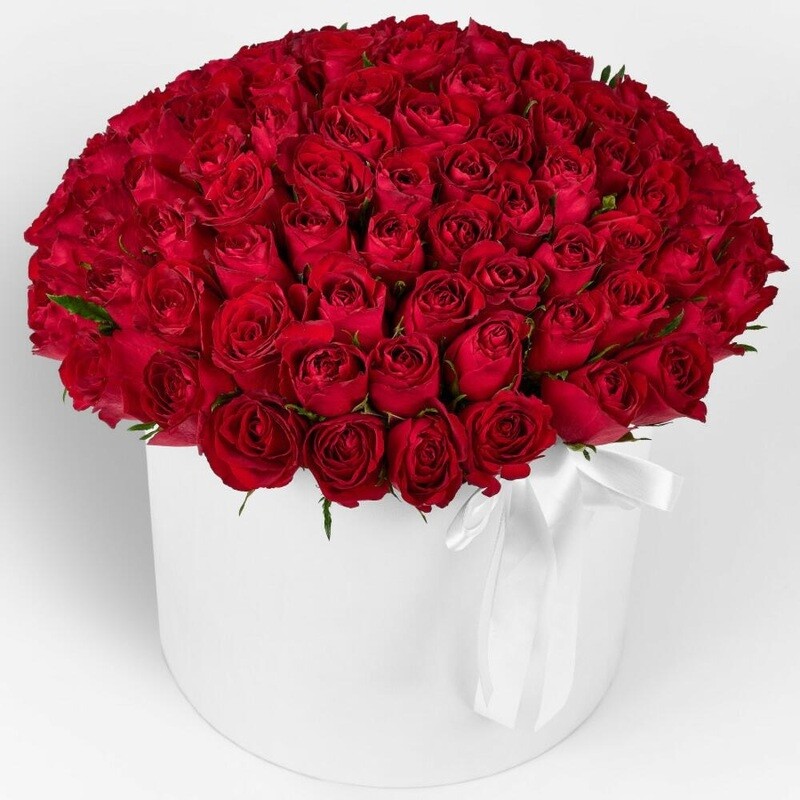VIP box of red roses, 101 roza
