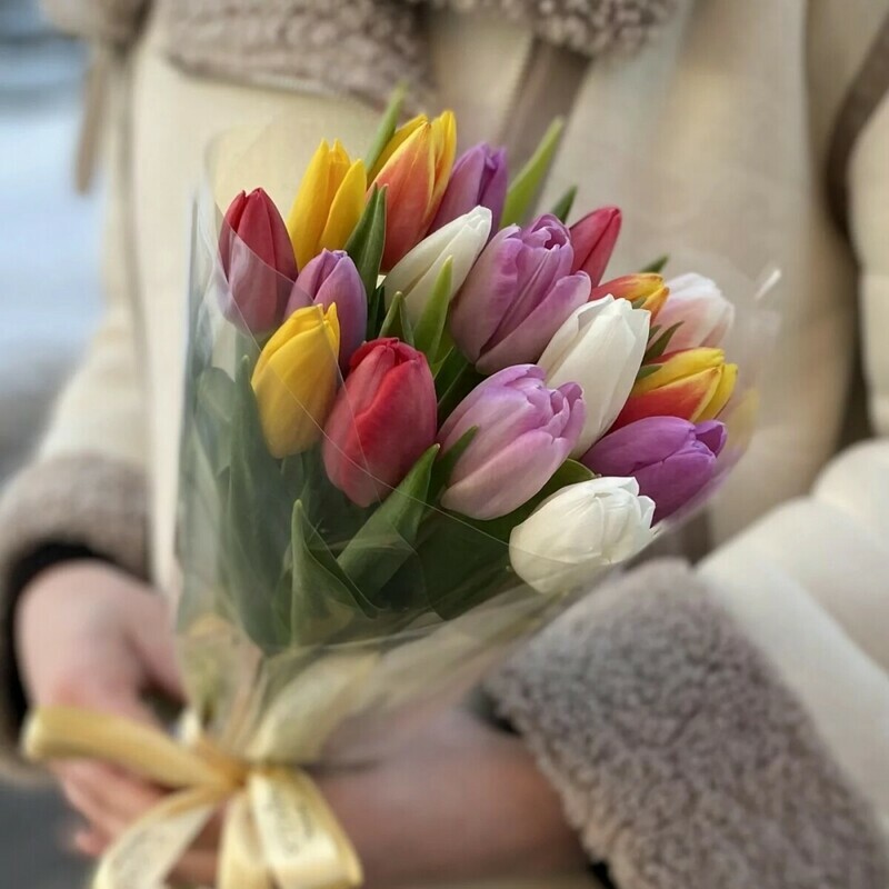 Tyul_pani Miks v prozrachnoj plenke, 15 sht