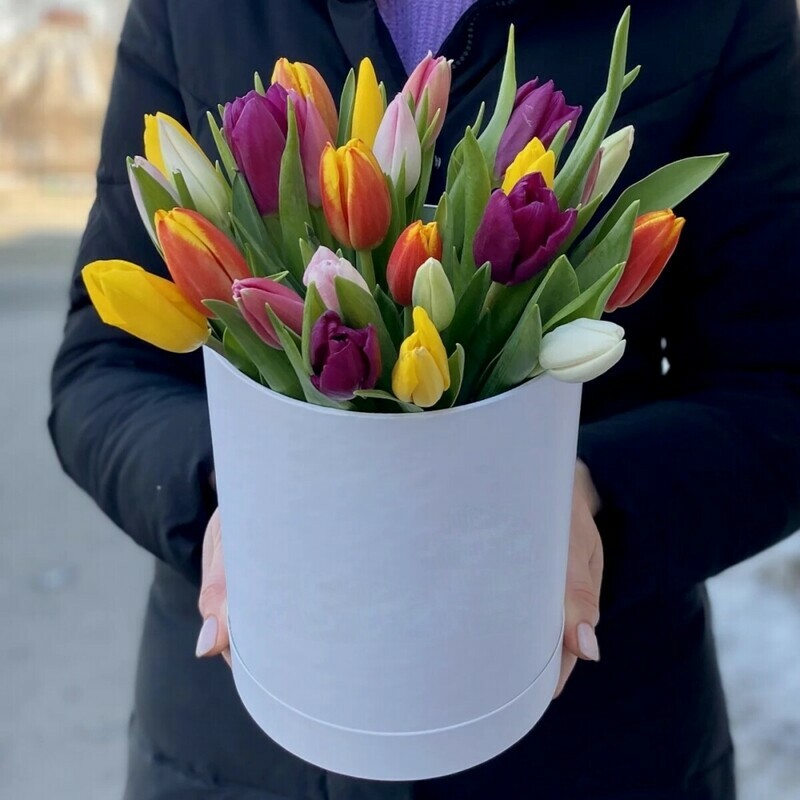 Тюльпаны Микс в коробке, 25 шт