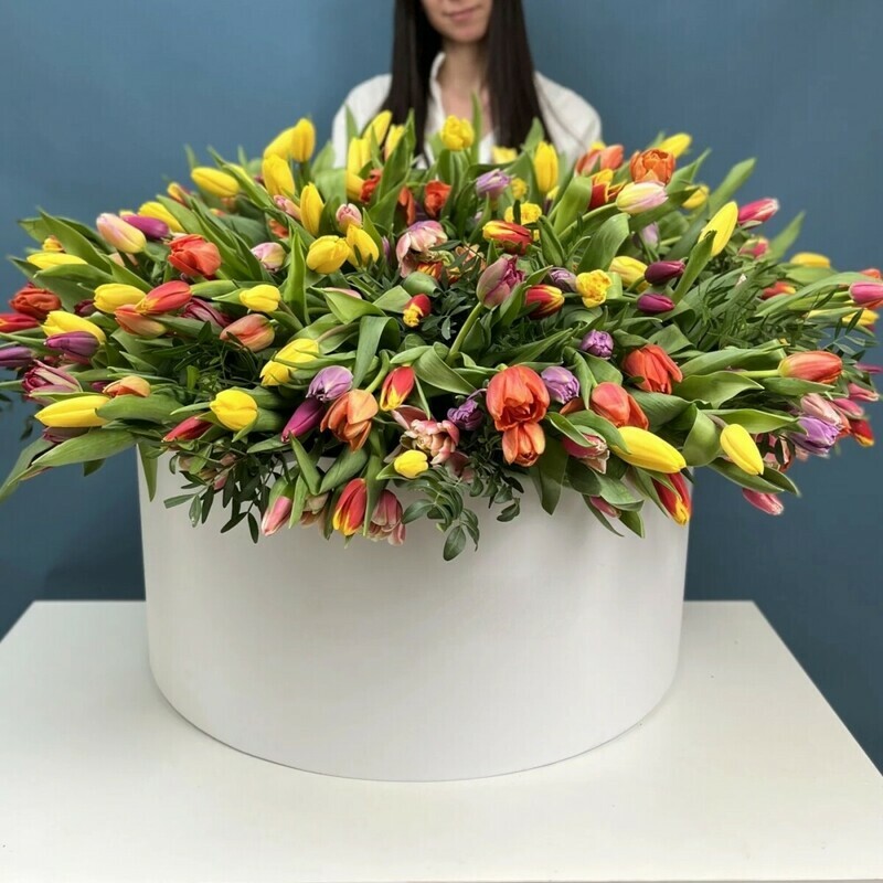 301 tyul_pan v korobke, standart