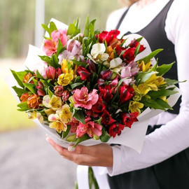 15 alstroemeria MIX