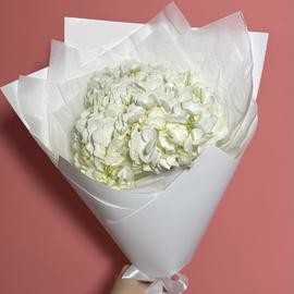 Buket iz beloj gortenzii