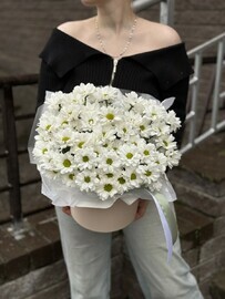 Коробка с кустовой хризантемой 