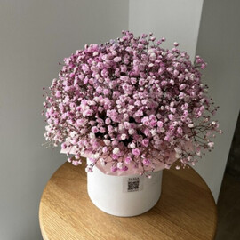 Коробочка из  розовой гипсофилы