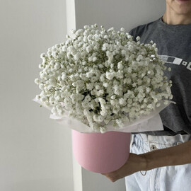 Korobochka iz beloj gipsofili