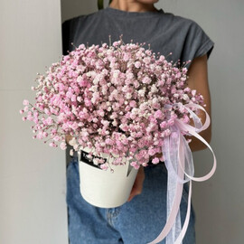 Коробочка из розовой гипсофилы