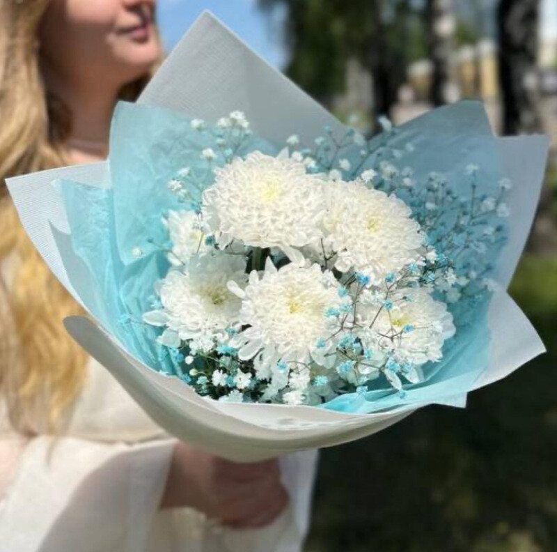 Голубика, стандартный