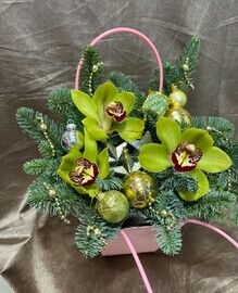 Новогодняя орхидея