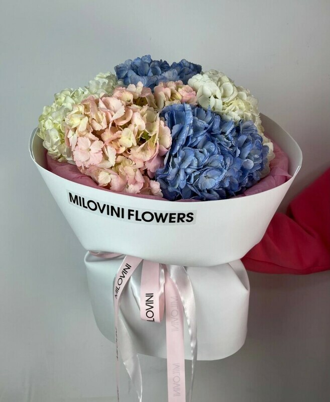 Buket iz 5 gortenzij, standart