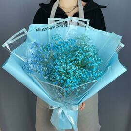 Buket iz goluboj gipsofili