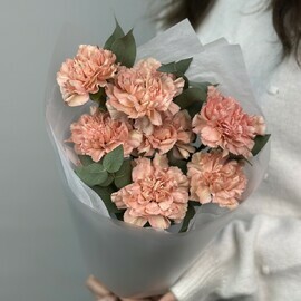 Монобукет из 7 кремовых гвоздик