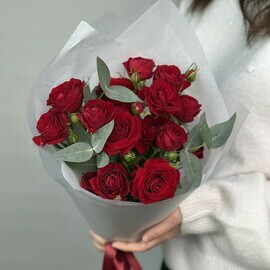 Monobuket iz krasnih kustovih pionovidnih roz