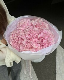 Букет Гортензия Облоко