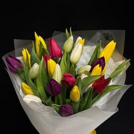 Букет из 25 тюльпанов микс 35 см