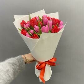 Букет из 25 тюльпанов микс 40 см