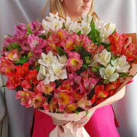 Букет из  15 альстромерий микс в дизайнерском оформлении 50 см