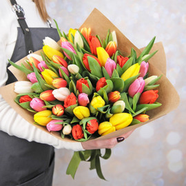 51 тюльпан микс в упаковке