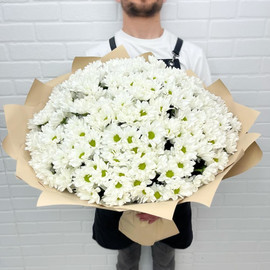 Букет из 35 белых хризантем кустовых в дизайнерском оформлении 60 см